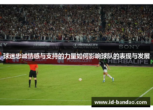 球迷忠诚情感与支持的力量如何影响球队的表现与发展