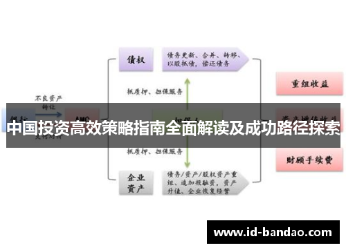 中国投资高效策略指南全面解读及成功路径探索